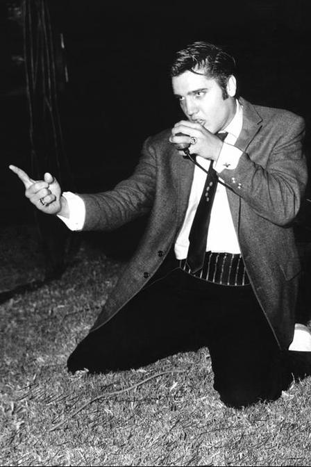 Record Bin... Elvis '56